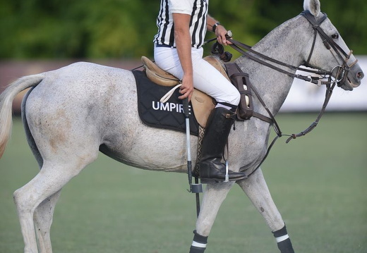 Equitazione